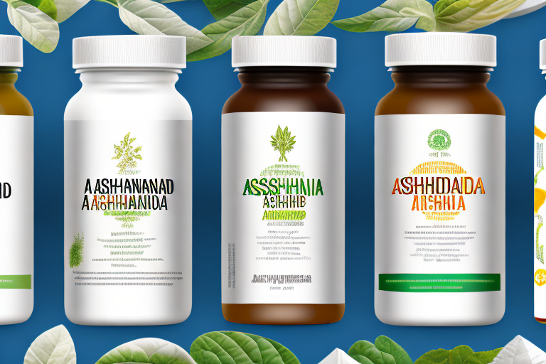 Which Ashwagandha Supplement Is Best? Factors to Consider in Choosing an Effective Product