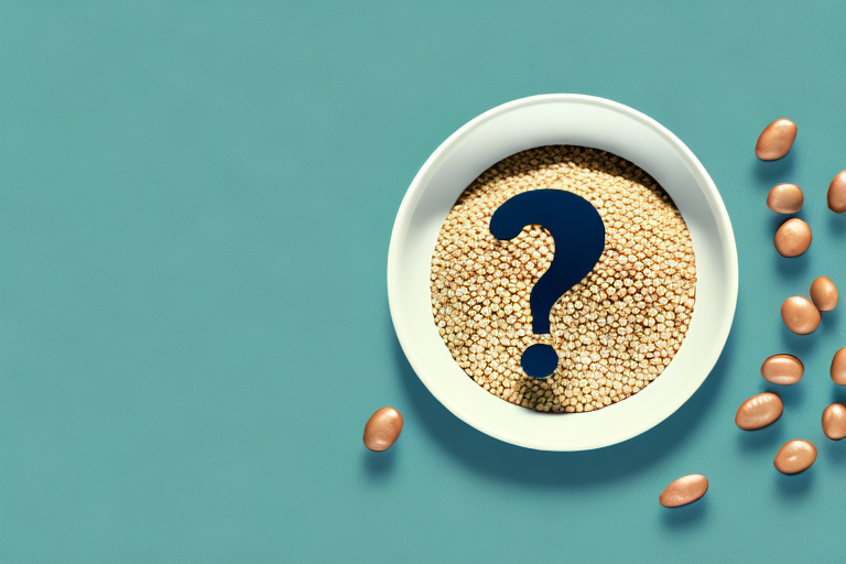 Soy and Phytoestrogens: Exploring the Benefits, Myths, and Facts