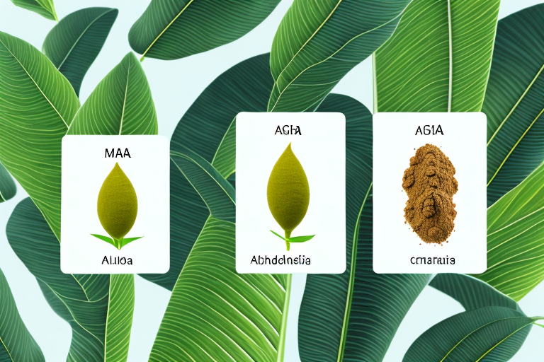 Maca vs. Ashwagandha A Comparative Analysis of Benefits and Effects
