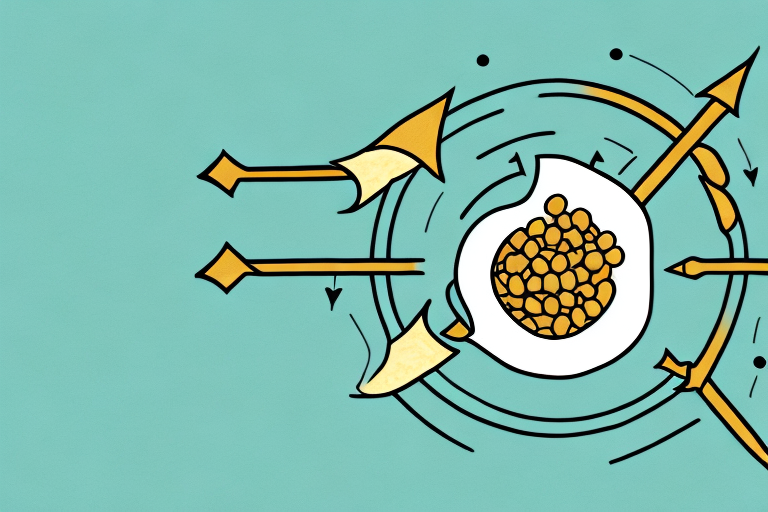 Soy Protein Absorption Rate How Quickly Does it Digest? Atlas Bar