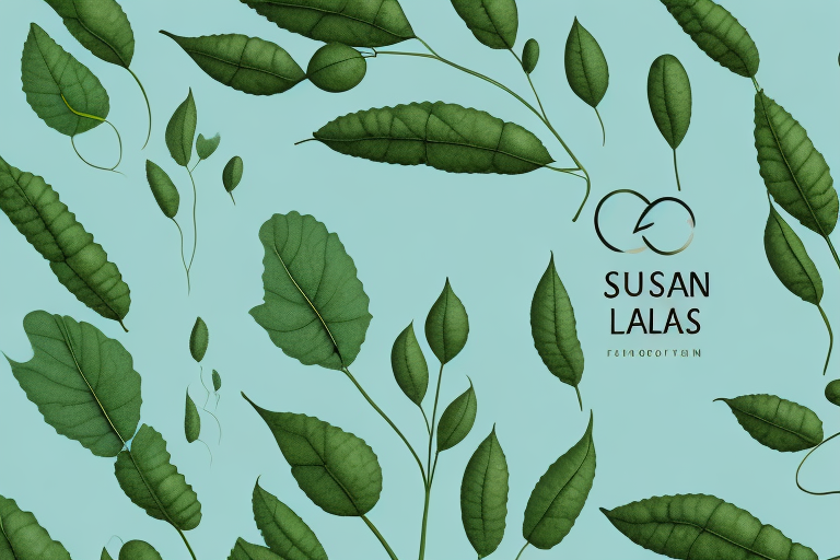 Understanding Soybean Protein Composition, Benefits, and Uses Atlas Bar