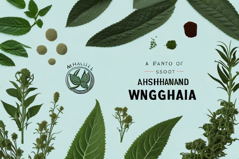 Synergistic Combinations: What Can You Take Ashwagandha With?