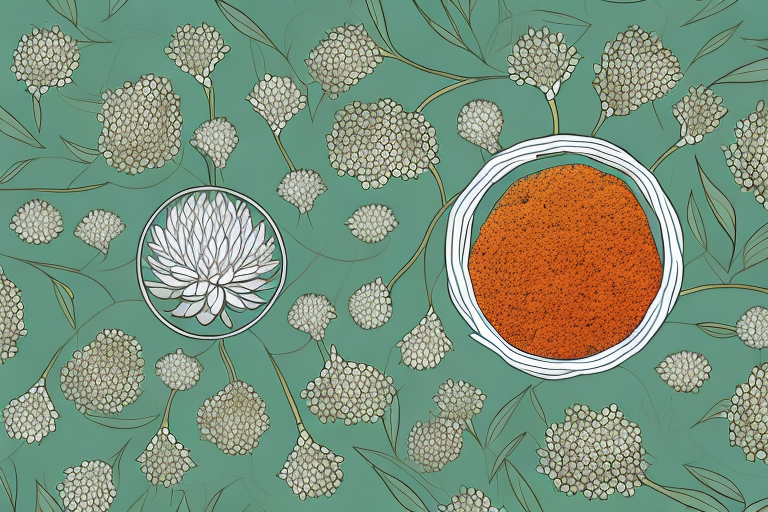 Synergistic Benefits: How to Take Rhodiola and Ashwagandha Together