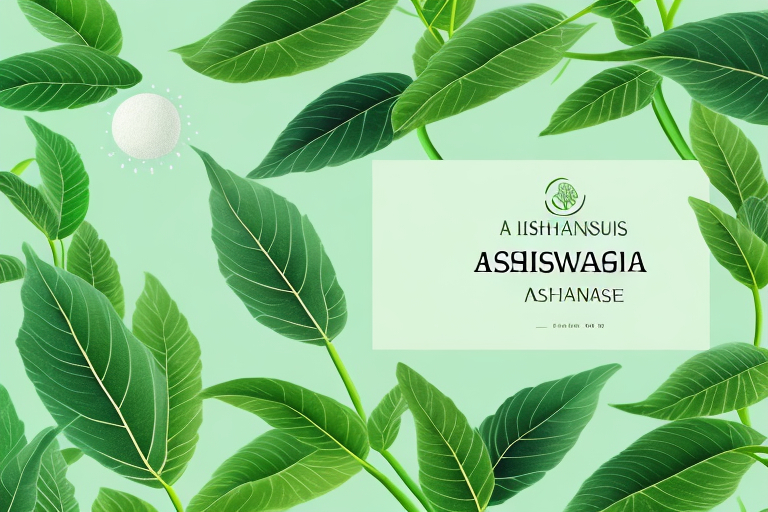 Finding Ashwagandha Leaves in New Jersey: Where to Buy