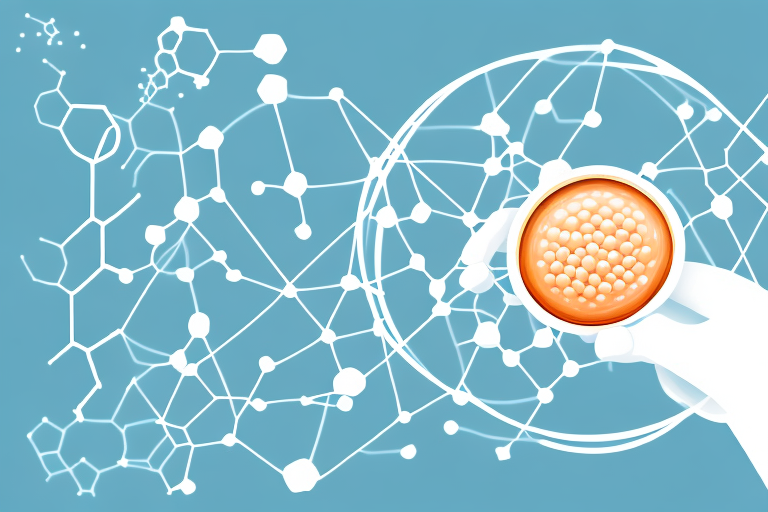 Absorption Time of Soy Protein in the Body: Uncovering the Process