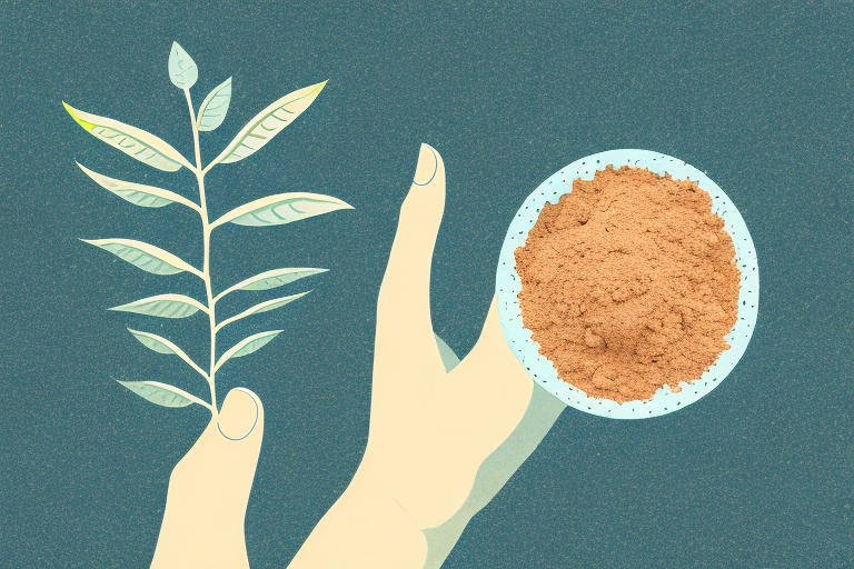 A Step-by-Step Guide: How to Plant Ashwagandha
