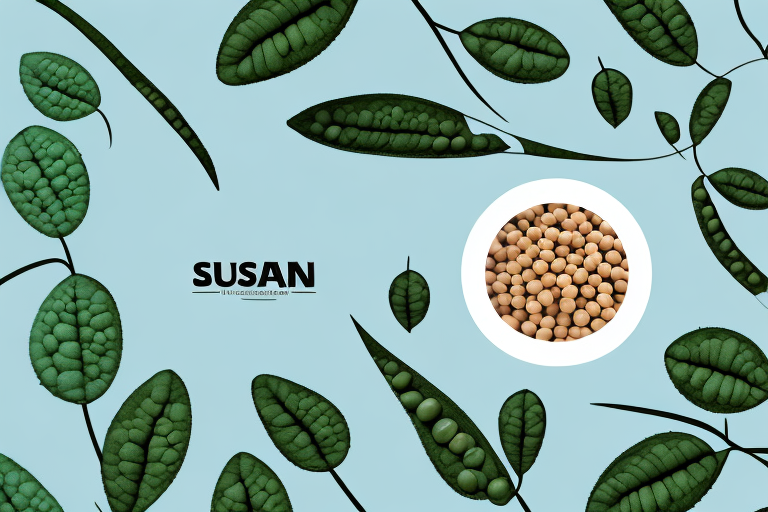 Protein Content in Soy Beans: Understanding the Nutritional Value