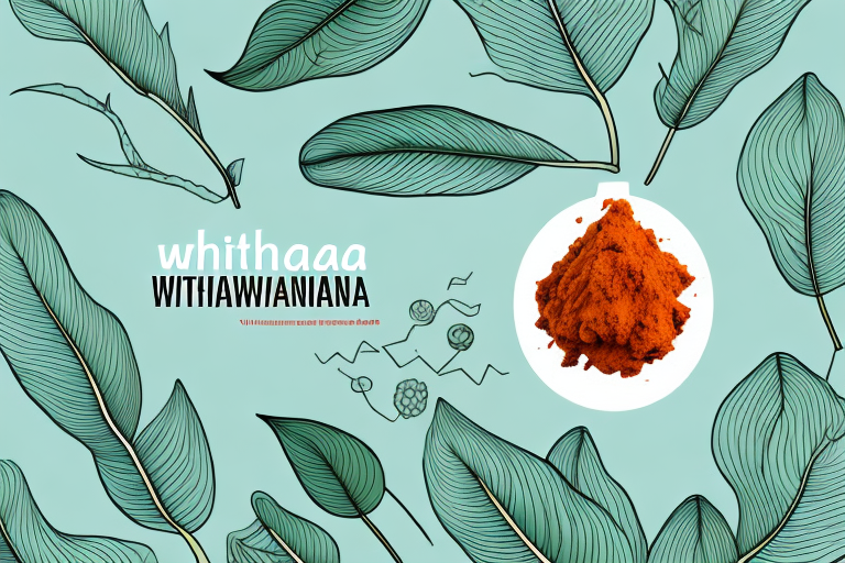 What Happens When You Start Taking Ashwagandha? Exploring Effects