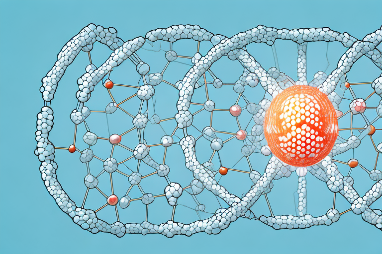 Tracing the Path of a Protein in the Cell: Understanding its Journey