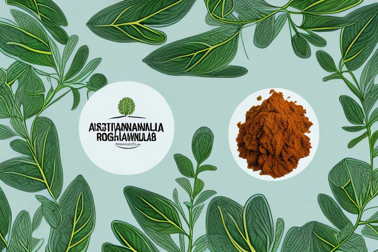 Ashwagandha or Rhodiola Comparing the Benefits and Effects Atlas Bar