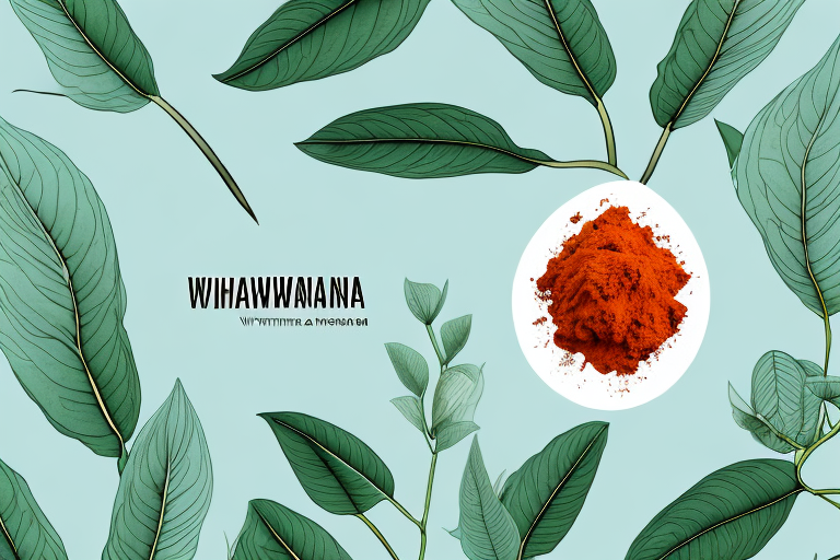 Finding Ashwagandha: Where Can You Buy It?