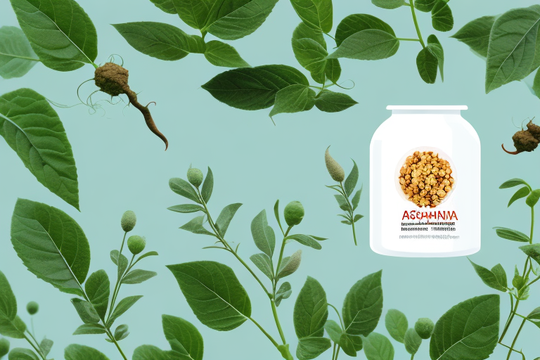 Where to Buy Ashwagandha Capsules: Reliable Sources and Brands