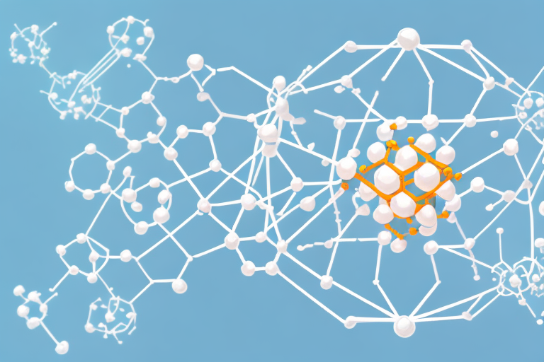 Exploring Hydrolyzed Soy Protein: Composition and Uses