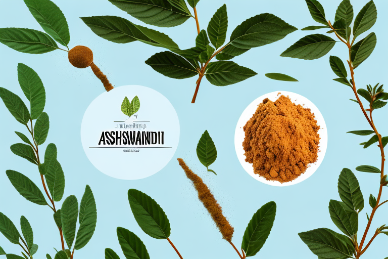 Understanding the Parts of Ashwagandha Used and Their Benefits