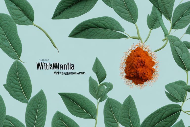 Ashwagandha: What Is It Good For? Exploring its Potential Uses and Applications