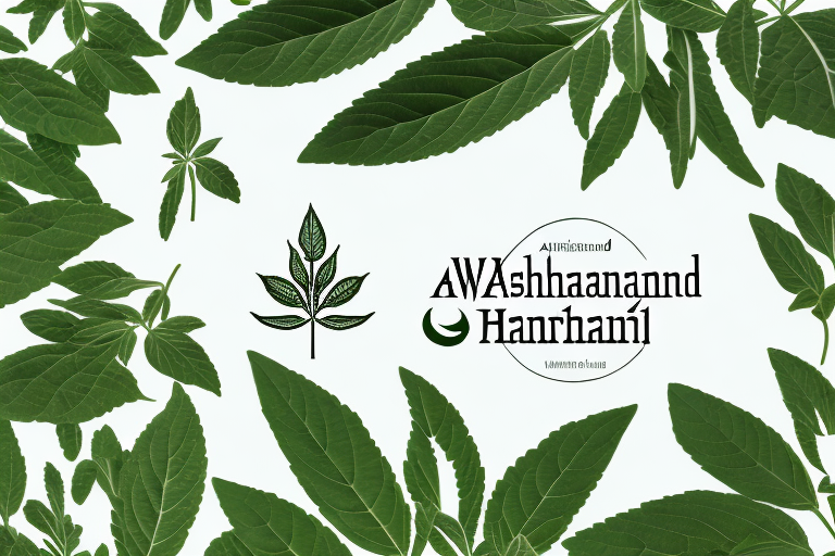 Identifying Ashwagandha: Characteristics and Appearance of the Herb