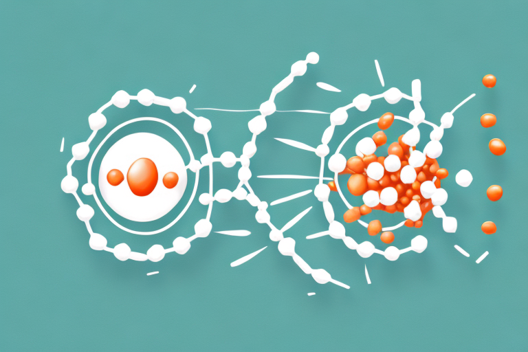 Soy and Pea Protein Isolates: A Comparative Analysis