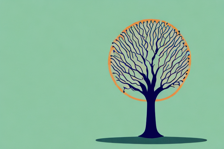 Origin of Monk Fruit: Uncovering the Country of Production