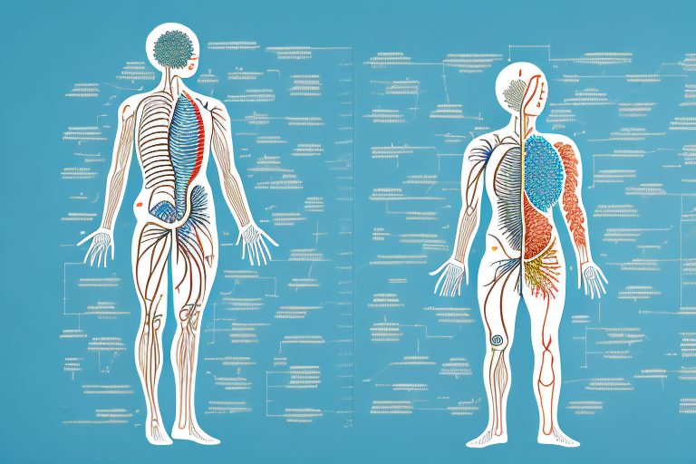 Protein Absorption Unveiled: How Much Can the Body Really Absorb?