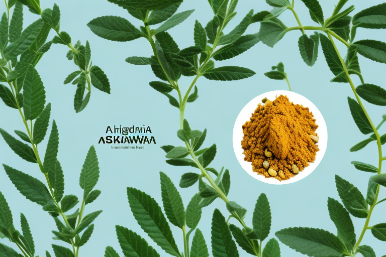 The Acne Dilemma: Exploring the Link Between Ashwagandha and Skin Breakouts