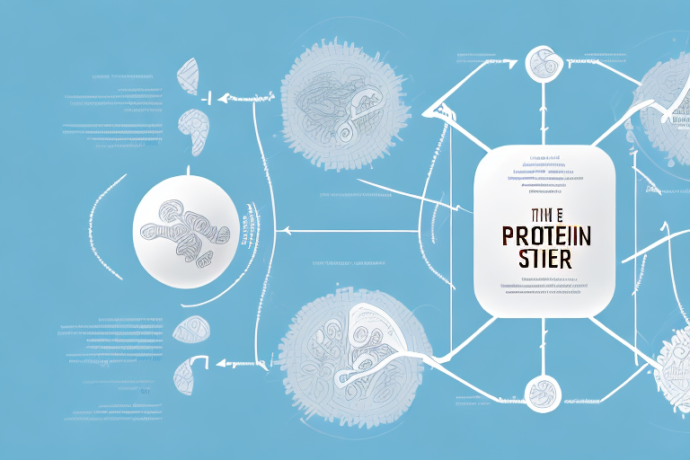 Initiating Protein Translation: Understanding the Key Steps for Protein Synthesis to Begin