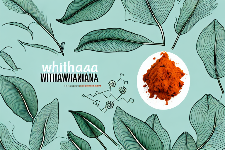 Morning or Night: When Should You Take Ashwagandha?