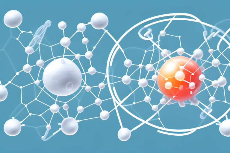 Protein and Hormonal Health: The Role of Protein in Hormone Synthesis