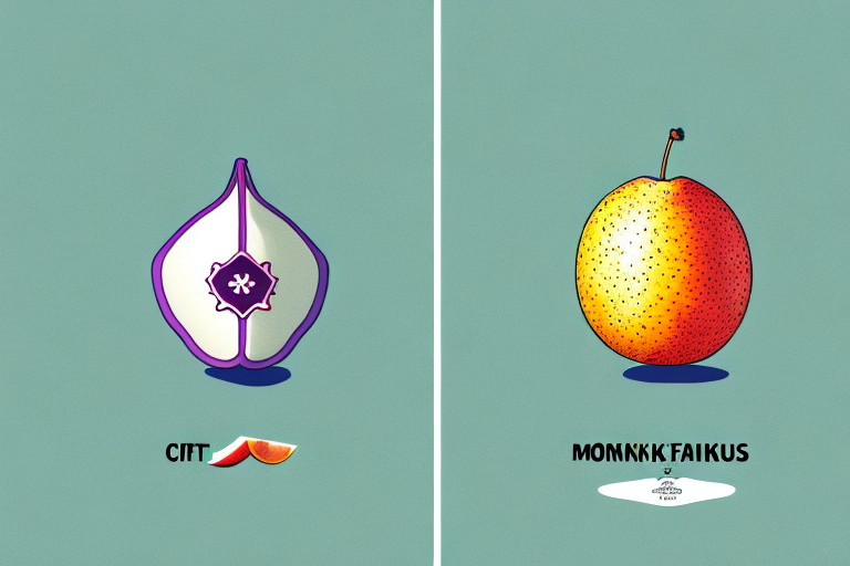 Monk Fruit Sweetener vs. Erythritol: Examining the Differences