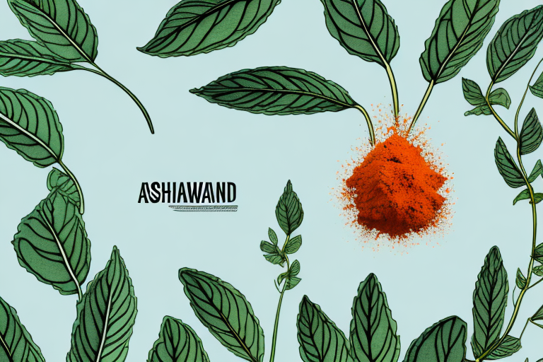 Wearing off Duration: How Long Does Ashwagandha Take to Wear Off?