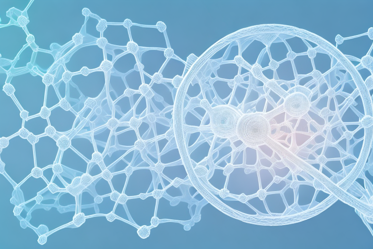 Myofibril Thick Filament Protein: Identifying the Protein Involved