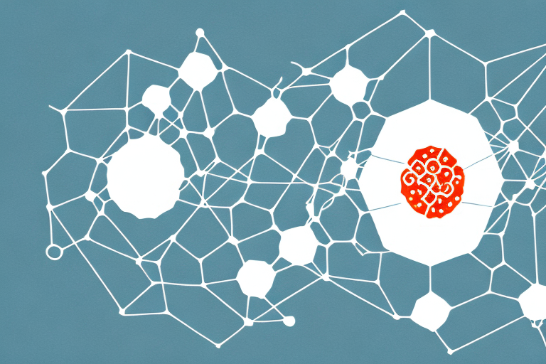 Effects of Soy Sauce on Protein Structure and Function: Unraveling the Chemistry