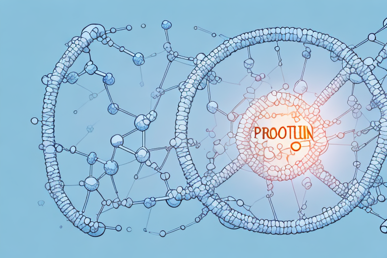 Decoding Protein in Urine: Understanding the Significance