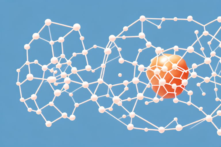 Maintaining Protein's Secondary Structure: Exploring the Factors That Preserve Protein Folding