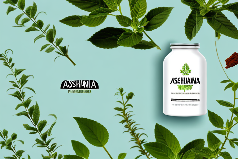 Key Factors in Choosing an Ashwagandha Supplement