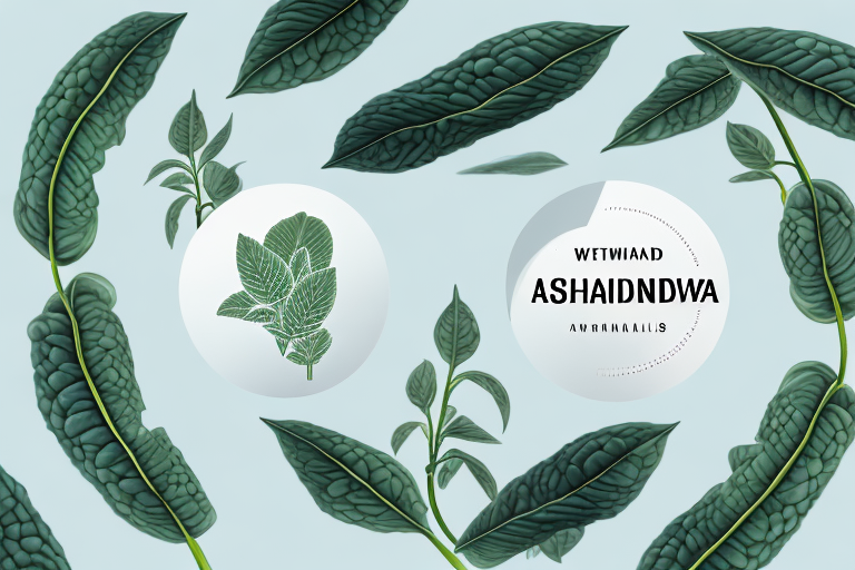 What Should You Not Take Ashwagandha With? Potential Interactions