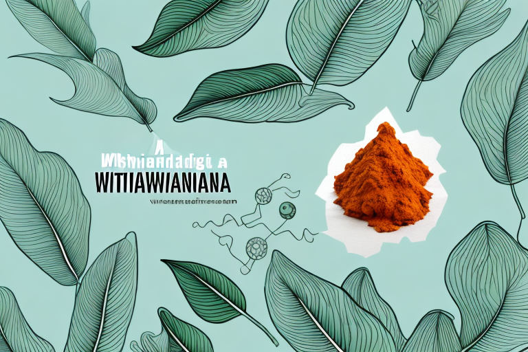 Ashwagandha: A Guide on How to Buy the Right Product